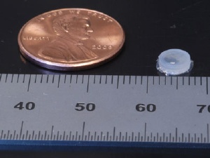 Magnetic Nanoparticle-Containing Biosensor Used to Track Tumors