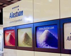 Online Polyolefins Business Celebrates Fifth Anniversary