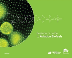 Aircraft Could be Flying on Biofuels within 3 to 5 Years