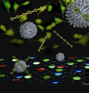 Nanoparticles and Polymers More Effectively Differentiate Cancer Cells