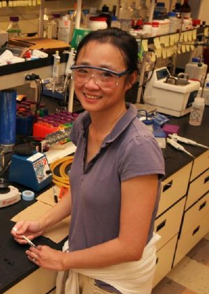 Using DNA to Build Nanostructures
