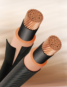 Arkema to Showcase Specialty Resin and Organic Ranges for Electric and Electronic Cabling