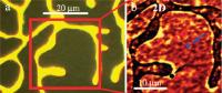 Graphene has Potential to Become The Superstar of the Electronics Industry