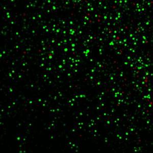 New Drug Delivery Technique Using Laser-Activated Carbon Nanoparticles
