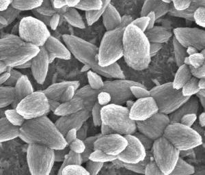 Researchers Advance Nanoscale Coating Application for High Tech Devices