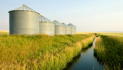 Rhodia and Cobalt Technologies Join Hands to Develop Biofuel Using Bagasse