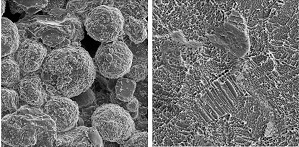 ASPEX Offer Failure Analysis Services for Biomedical Implants