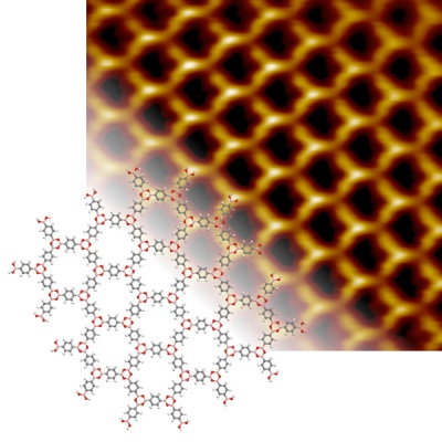 Novel Method Paves Way for Creating High-Quality Polymer Networks