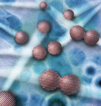 New Study Paves Way to Synthesis Unique Materials Using Oriented Attachment