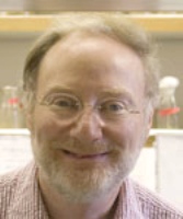 New Technique to Measure Length Distributions in Nanotube Batches