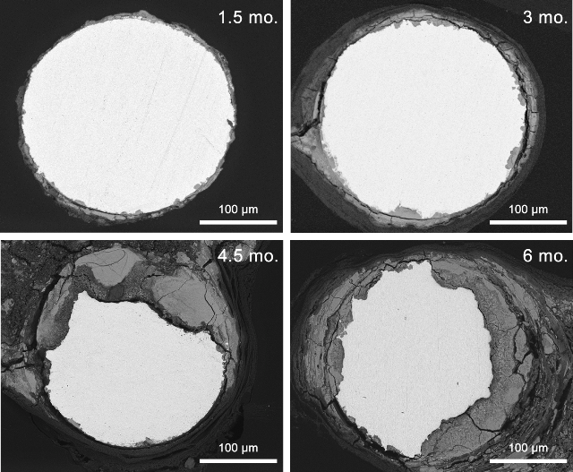 Zinc holds Promise for Bioabsorbable Stents