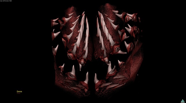 Cornell University to Receive the First VersaXRM-520 X-Ray Microscope from Xradia, Inc.