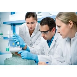 Scientists in the lab