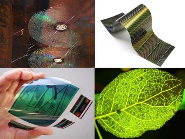 Copying Structures from Spider Webs and Leaves Boosts Performance of Optoelectronic Materials