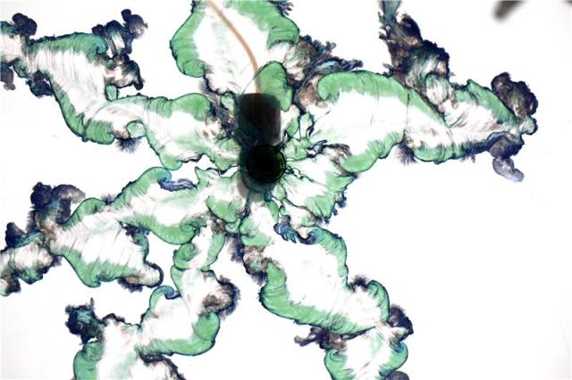 Research Yields New Data on Mysterious Chemical Gardens