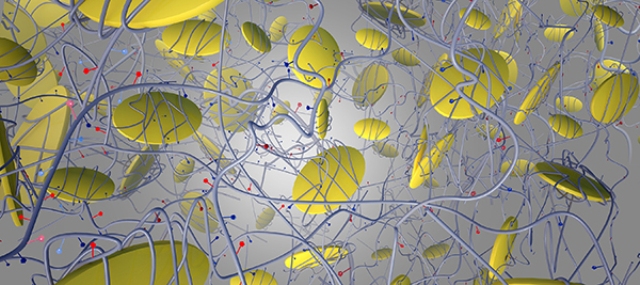 New Biomaterial Stimulates Bone Growth Using Signaling Mechanism