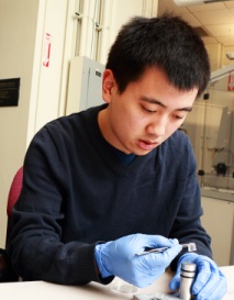 MIT Researchers Develop Tissue Simulant Gels to Protect Brain Against Severe Impacts