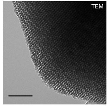Scientists Engineer Silicon Particles for Better Biointerfaces