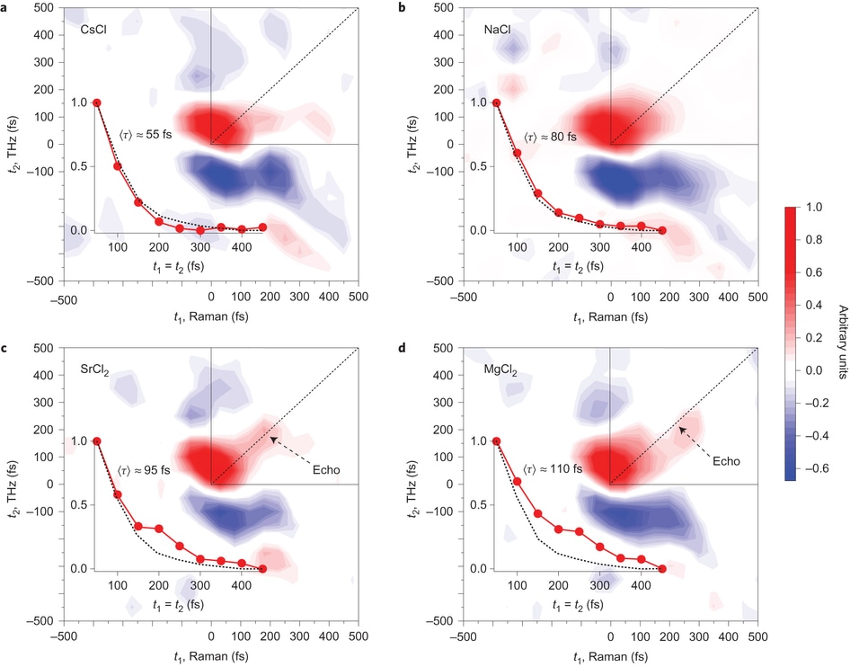 Raman-Terahertz Spectroscopy Helps Reveal How Ion Solvation Affects Hydrogen Bonding Network in Water