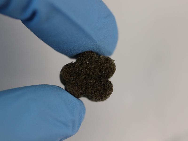 Bioactive Moldable Foam for Skull Bone Replacement