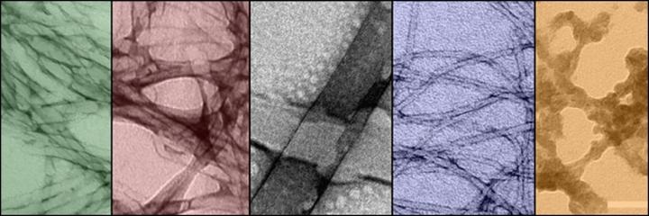 New Self-Assembling Molecules can Change into Novel, Exotic Shapes Using UV Light