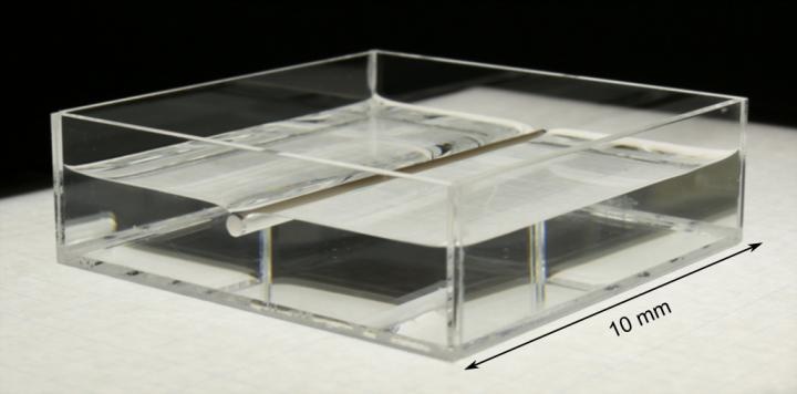 OIST Researchers Take New Step in Understanding Surface Phenomenon