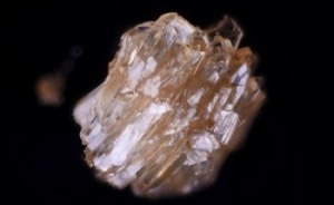 Regulating Growth of Organic Crystals Using High-Powered Magnets for Use in Pharmaceutical Industry