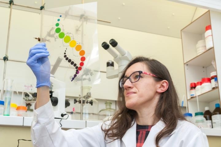 Researchers Create Record-Long Polymer DNA Negative