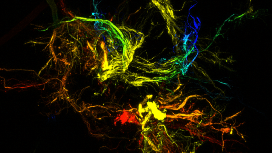 Exploiting Liquid-Driven Chaos to Create Soft Polymer Microparticles