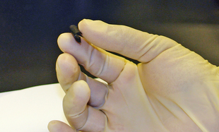 New Rechargeable Energy Storage Device that Could be Mistaken for Paper