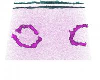 Atom Probe Used to Observe Dopant Distributions in Semiconductors for the First Time