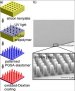 Weatherproof Adhesive Bandage Inspired by Sticky Lizards