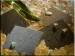 DuPont Releases Eco-Friendly New Surface Collection Set to Maximize Impact