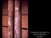 Scientists Design New Identification and Conservation Techniques to Understand Marble Quality and Durability