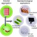 Amyloids Deposits Found to Closely Resemble Synthetic Polymers