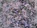 Evidence Points to the Existence of a New Type of Superconductor