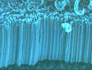 CSIRO to Help Bring Australian Nanotechnology to Market