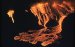 Iron Isotopes in Lava May Reveal Secrets on the Origin of Planets