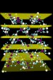 Important Structural Details of Zeolites Revealed for the First Time