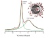 Scientists Identify Unique Water Signature Inside Carbon Nanotubes
