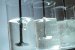 Cellulose Acquisition Prove Successful for Dow