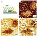 New  Way to Develop Efficient and Inexpensive Plastic Electronics