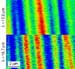 Studying Ferroelectric Materials with a Free Electron Laser