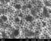 Powering Fuel Cells with Nanotechnology and Sustainabililty