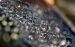 New Transparent Coating Prevents Corrosion and Ice Formation on Aircraft Equipment