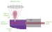 Scientists Use Laser to Manipulate and Improve the Properties of Quantum Dots
