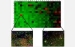 NSF and EPA Announce Establishment of Centers for the Environmental Implications of Nanotechnology (CEIN)