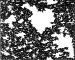 The Mysterious Nature of Glass Explained by Twinkling Fractal Theory