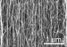 New Directionally Aligned Carbon Nanotube Material Shows Unique Adhesive Force