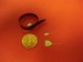 New Neural Probe Enahnce Nerve and Tissue Stimulation in Prosthetic Devices
